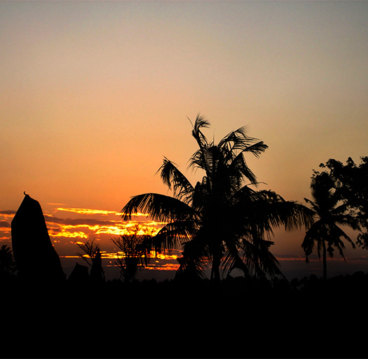 Africa - Kenya - Sunset - Palm Trees - Hans van Putten - Studio40ParkLane