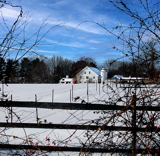 Winter - Farm - Concord MA - New England - Hans van Putten - Studio40ParkLane
